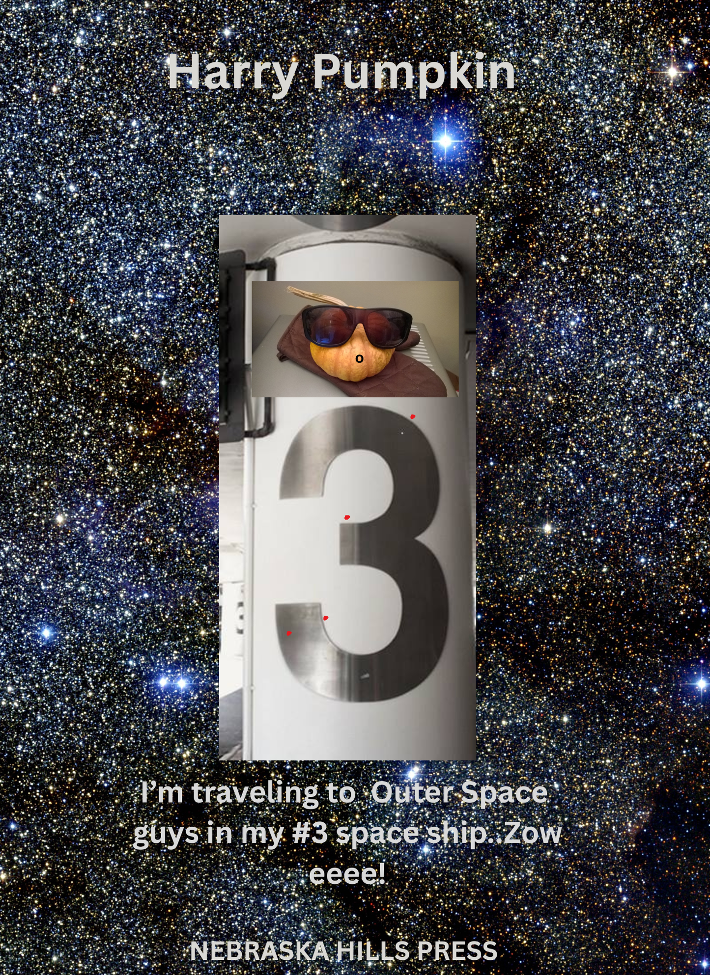 OUTER SPACE  PUMPKIN - GO HARRY!  WALL POSTER